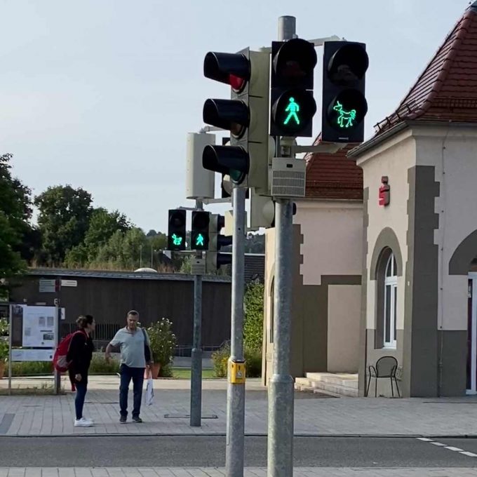 Grünes Licht für das Gmünder Einhorn — Außenwerbung & Messe, zoodesign